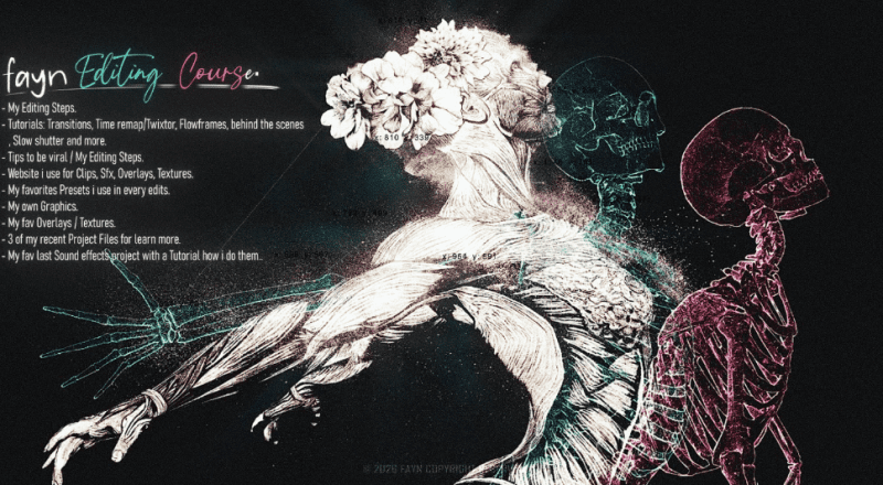 FAYN EDITING COURSE 2026 !-VFX核心