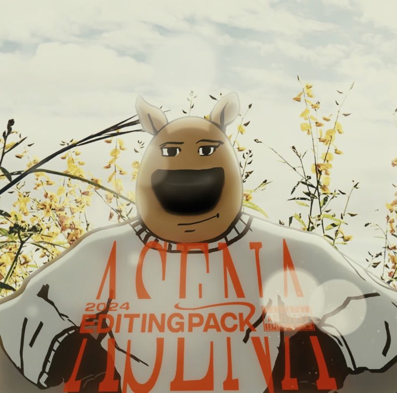 Asena 2024 Editing Pack-VFX核心
