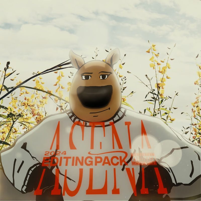 Asena 2024 Editing Pack-VFX一号