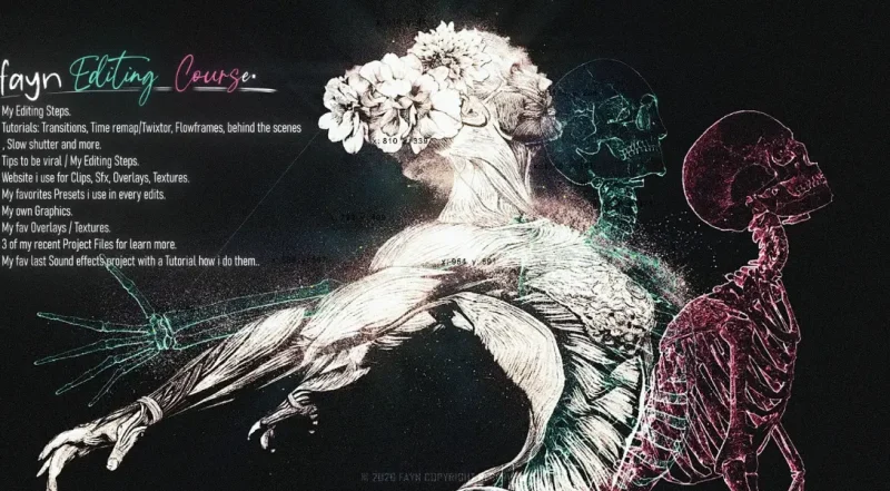 FAYN EDITING COURSE 2026 !-VFXCore视觉特效学习网