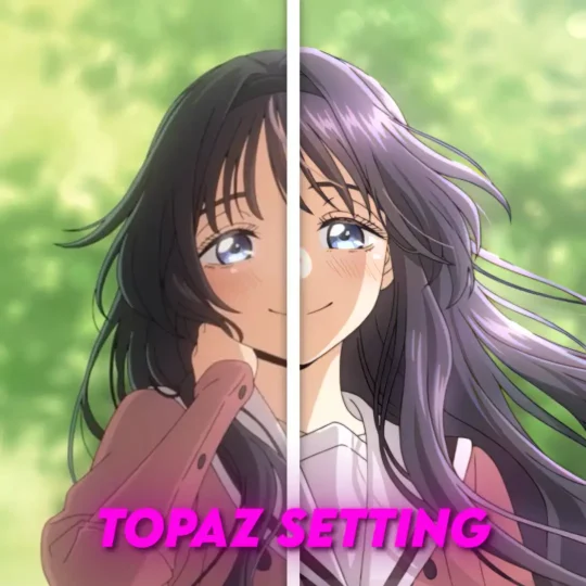 Topaz setting-VFXCore视觉特效学习网